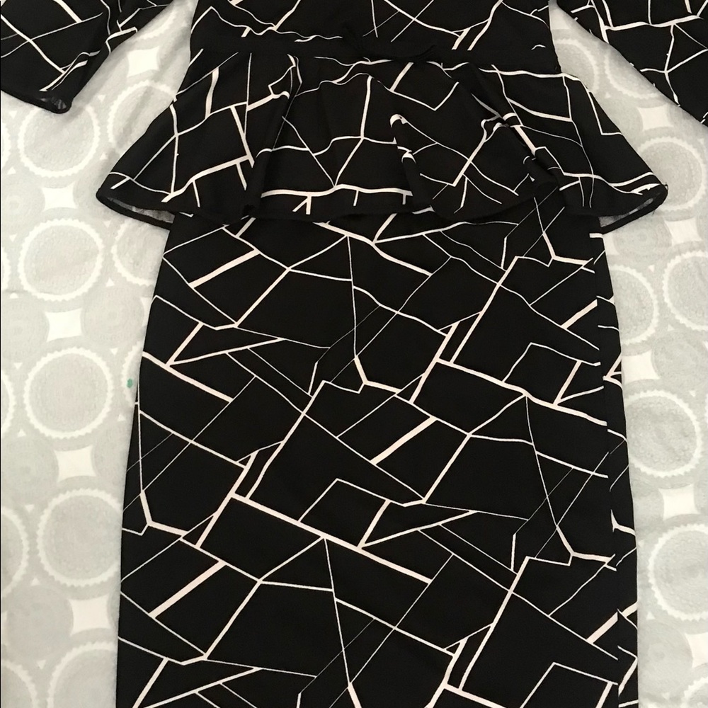 Shein Pencil Skirt and Fitted Blouse